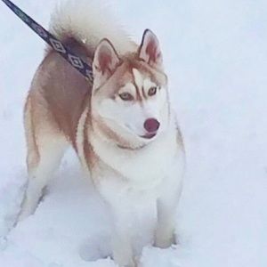 Meet your Posher, Michael